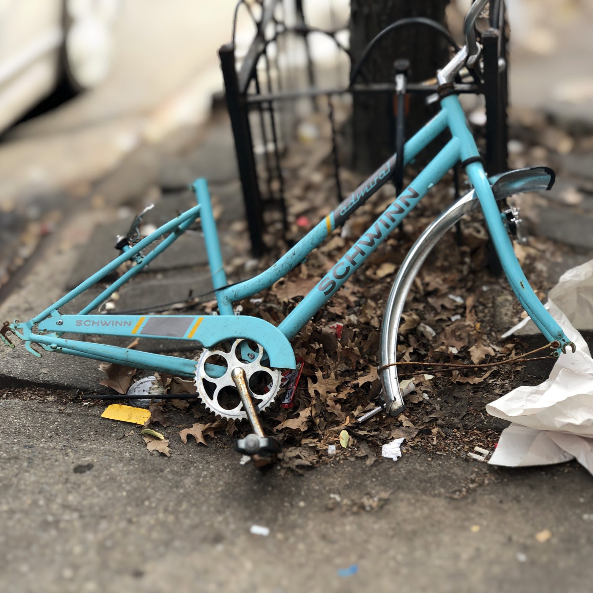Bicycle Removal Service In Bellevue, WA