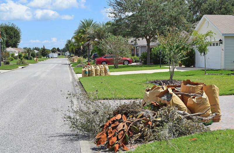 Yard Waste Pickup and Disposal Service In Bellevue, WA